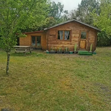 A Chalet Biscarrosse